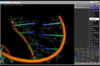 Scientific Visualizations Portfolio Page of William Halversen